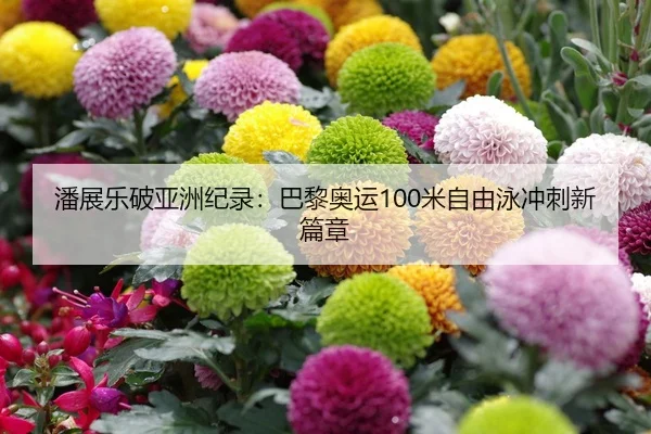 潘展乐破亚洲纪录：巴黎奥运100米自由泳冲刺新篇章
