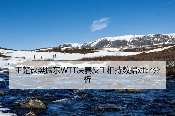 wang-chu-qin-fan-zhen-dong-jue-sai-fan-shou-xiang-chi-shu-ju-dui-bi-fen-xi-2-624.jpg