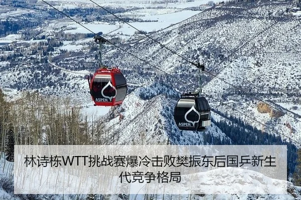 林诗栋WTT挑战赛爆冷击败樊振东后国乒新生代竞争格局